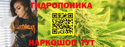 прущие крисы Жуковский