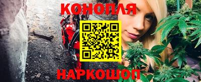 PSILOCYBIN Кандалакша