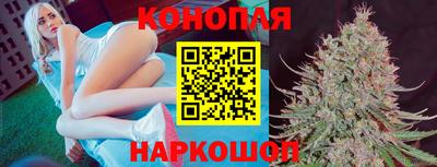 МДПВ Заволжье