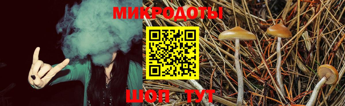 Галлюциногенные грибы ЛСД Барабинск