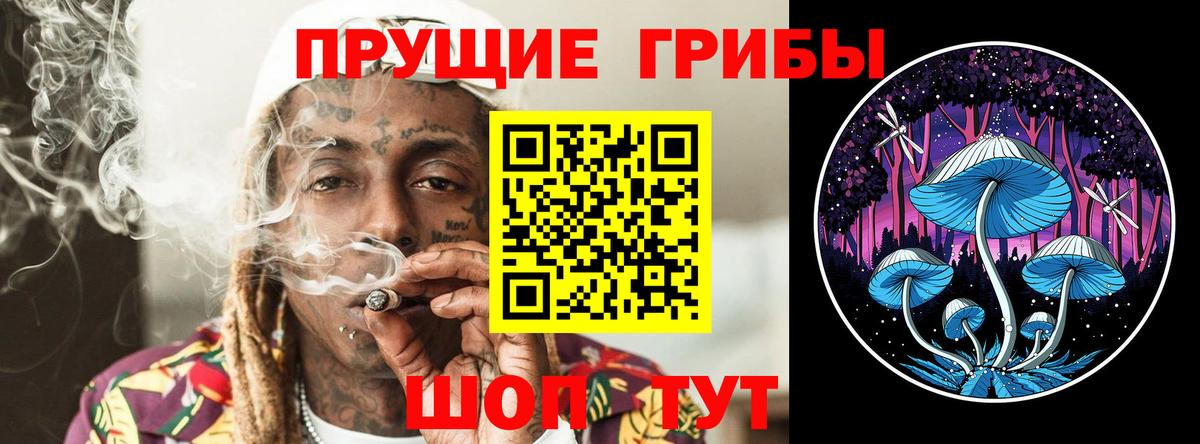 Барабинск  Галлюциногенные грибы прущие грибы  Псилоцибиновые грибы мухоморы  Вход с VPN 